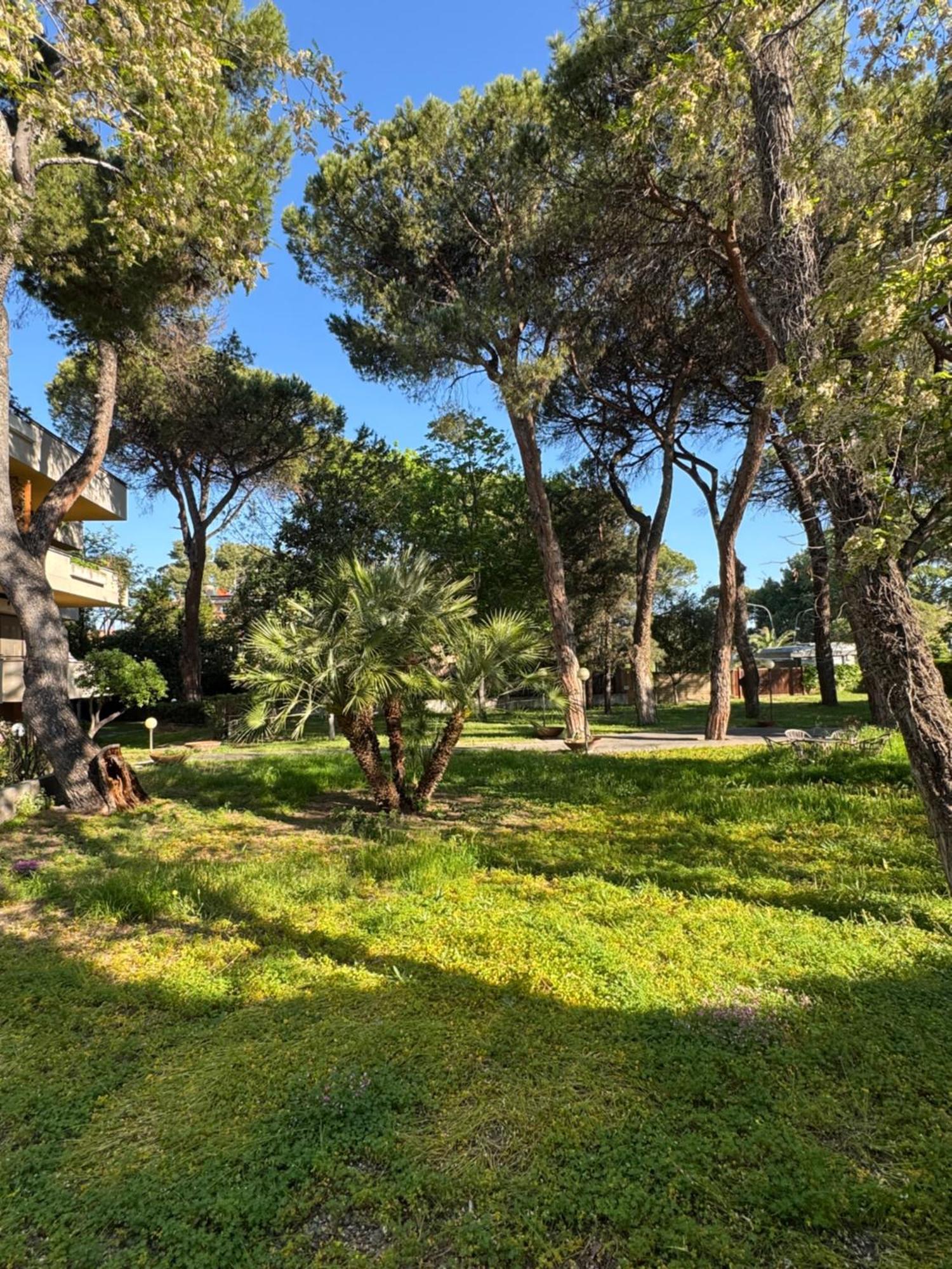 Villa Riviera 287 佩斯卡拉 外观 照片